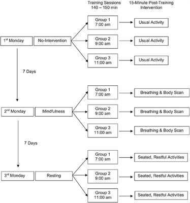 The effects of relaxation techniques following acute, high intensity football training on parasympathetic reactivation